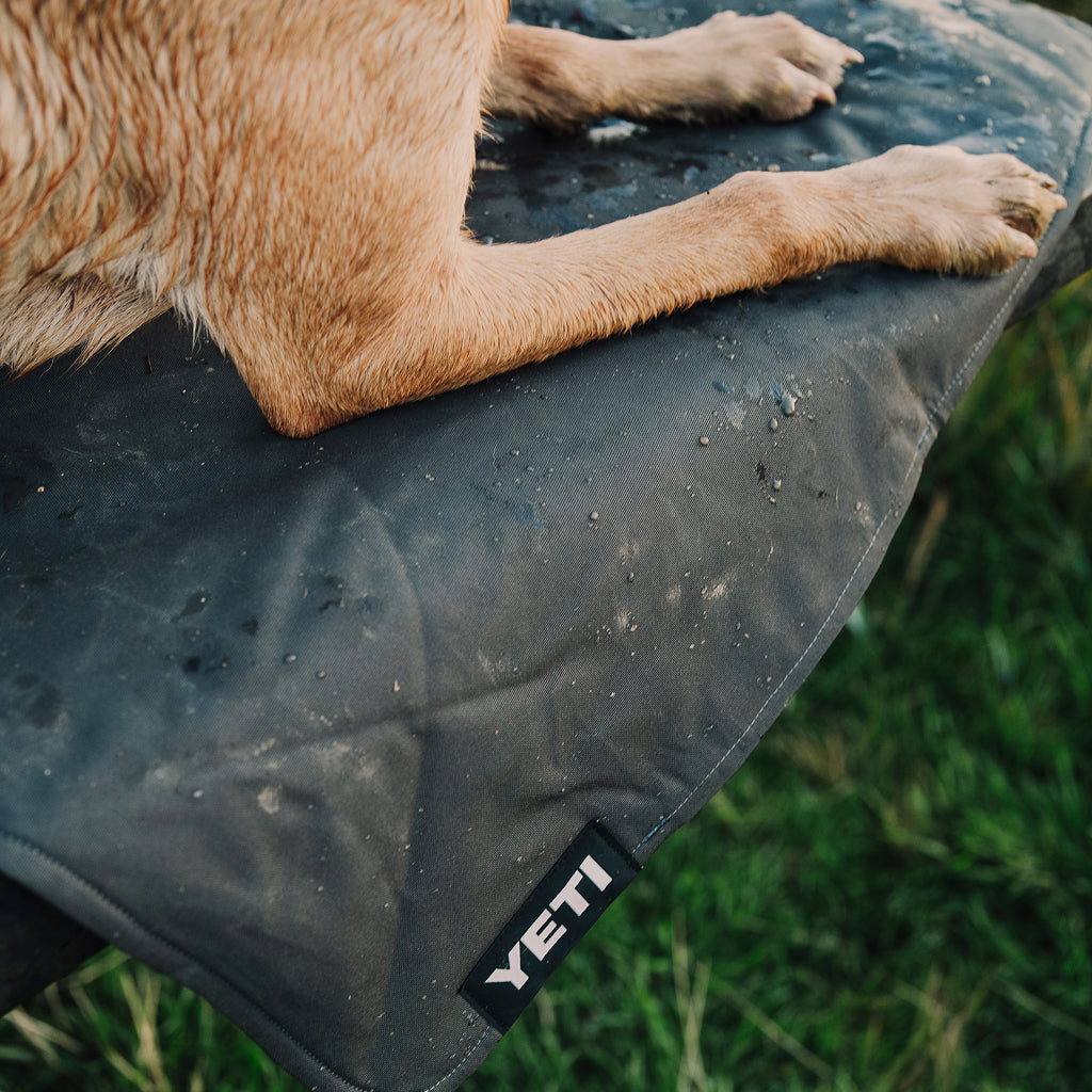 Dog sitting on a YETI small lowlands blanket.